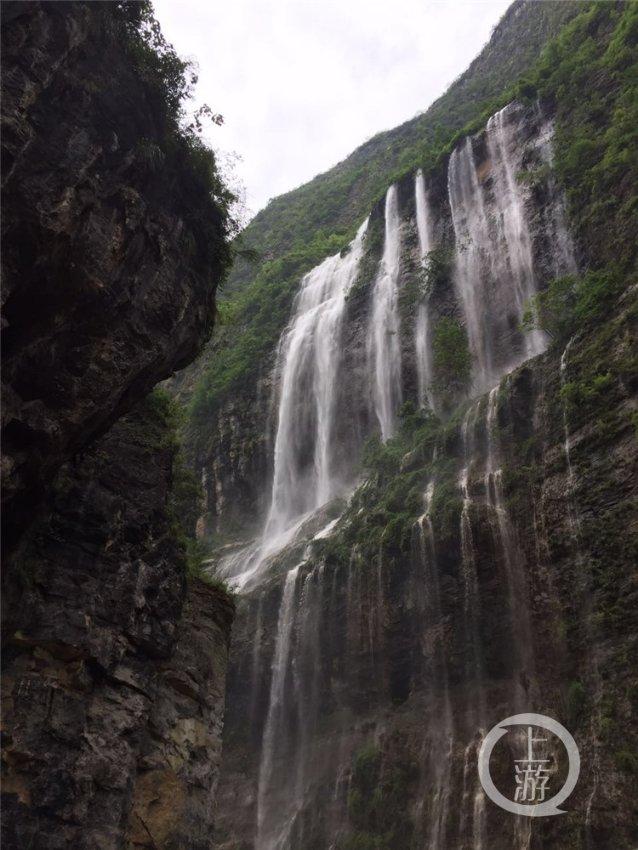 白蛇传奇:三界铭文与仙武帝尊的神秘交汇